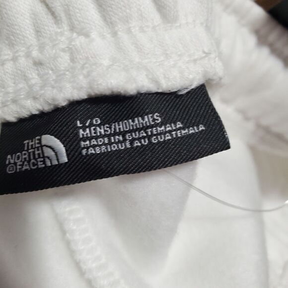 The North Face Mens Sz L Pride Never Stop shorts Drawstring white Unsex - Picture 9 of 9